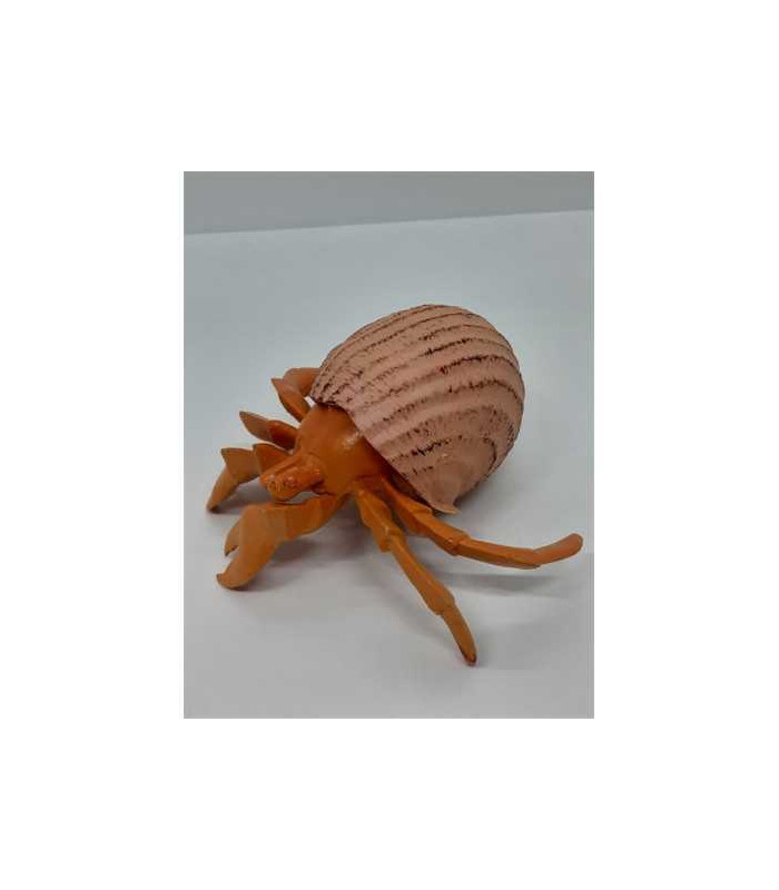 Figurina Crab in cochilie de melc