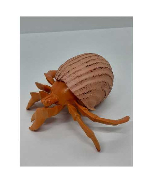 Figurina Crab in cochilie de melc