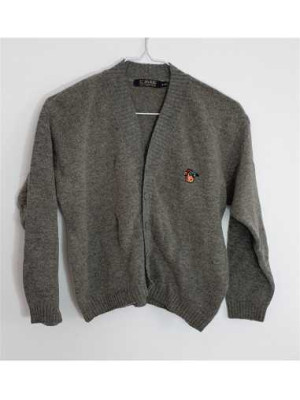 Pulover pentru primavara baieti LC WAIKIKI