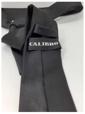 Cravata lucioasa pentru barbati  2