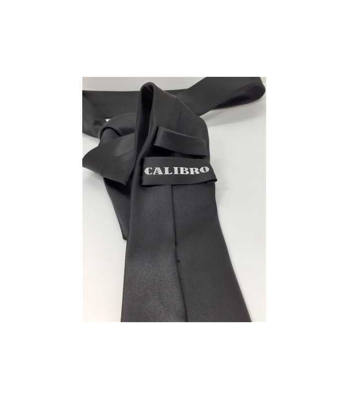 Cravata lucioasa pentru barbati 