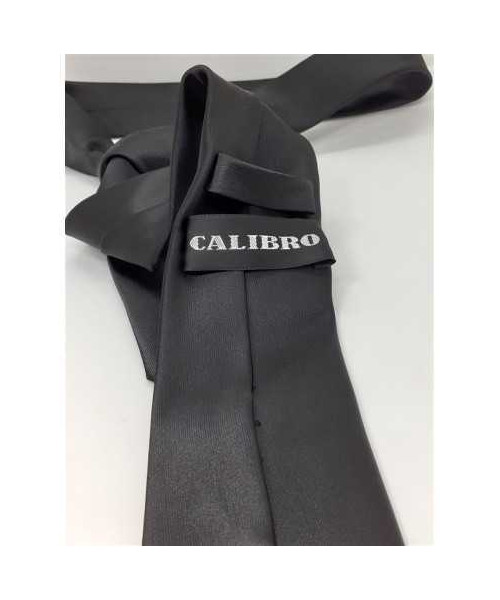 Cravata lucioasa pentru barbati 