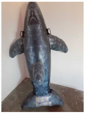 Rechin gonflabil cu manere