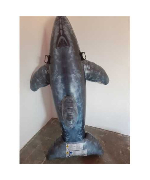 Rechin gonflabil cu manere