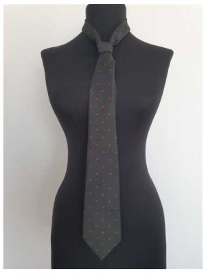 Cravata barbati cu buline colorate Lux