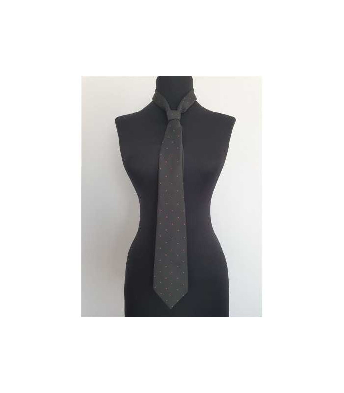 Cravata barbati cu buline colorate Lux