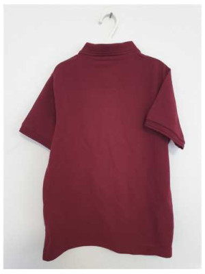 Tricou pentru baieti cu guler M&S 2