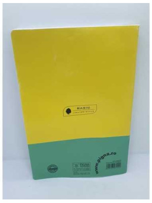 Caiet studentesc A4 80 file matematica Pigna coperta galben verde 2