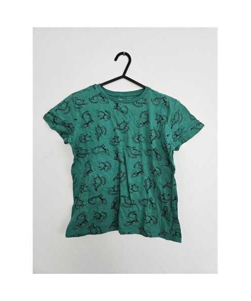 Tricou pentru copii cu imprimeu dinozauri Sinsay