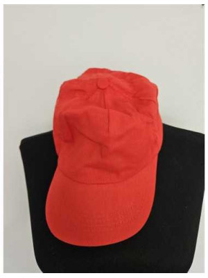 Sapca pentru copii model Uni