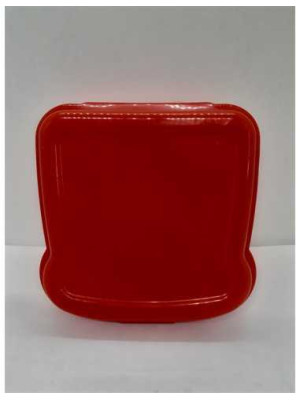 Cutie din plastic pentru sandwich