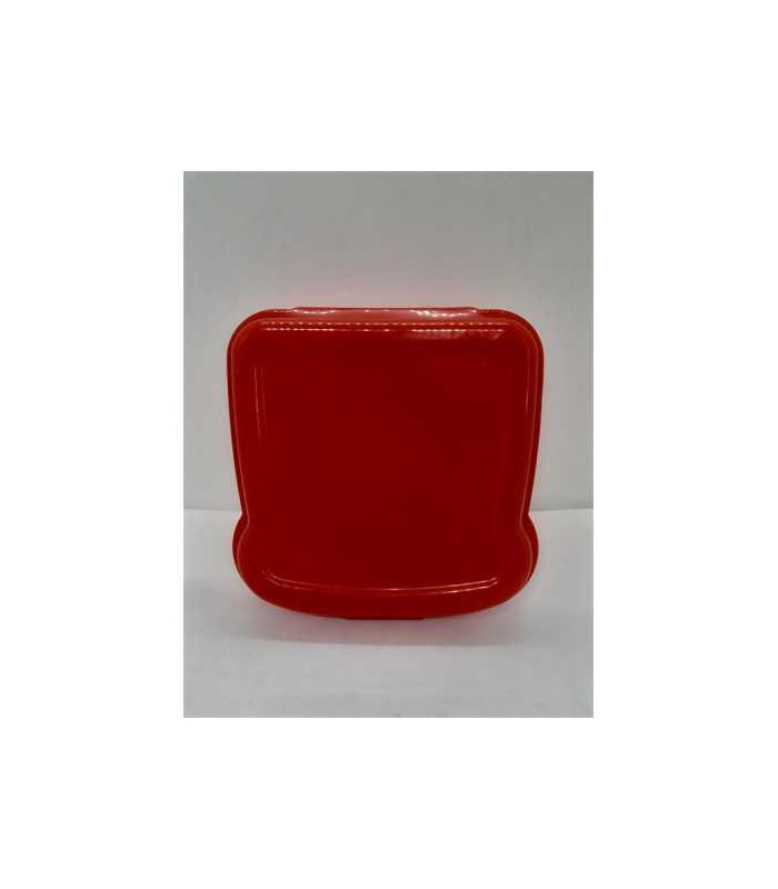 Cutie din plastic pentru sandwich