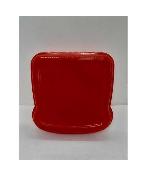 Cutie din plastic pentru sandwich