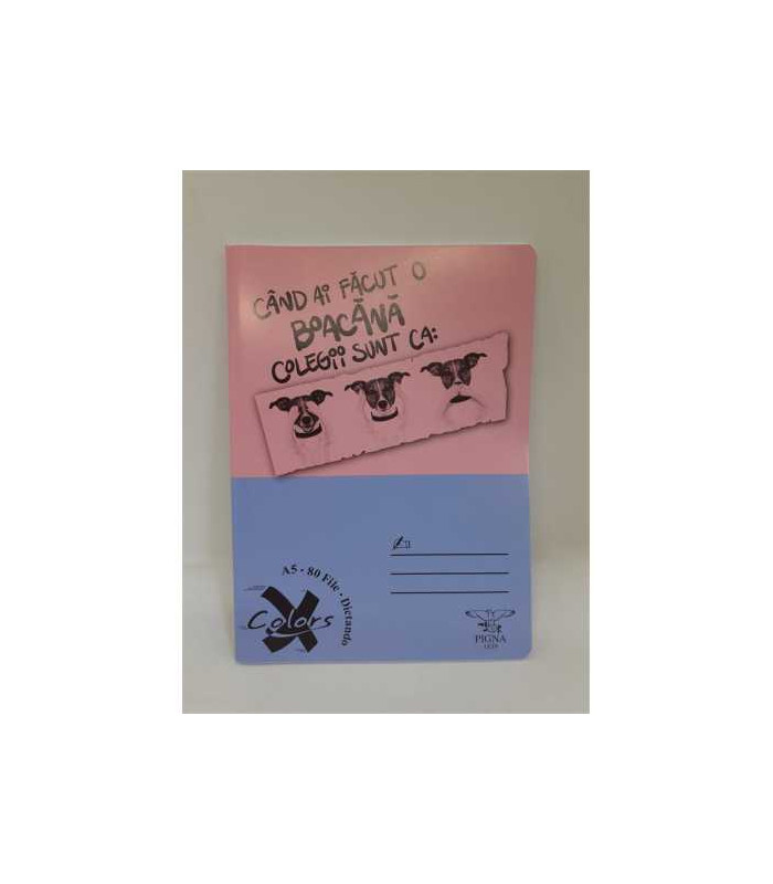 Caiet dictando 80 file A5 Pigna model catei