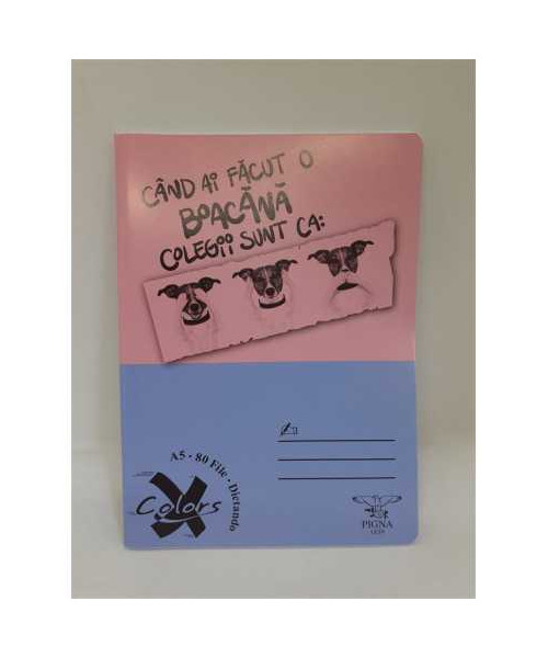 Caiet dictando 80 file A5 Pigna model catei