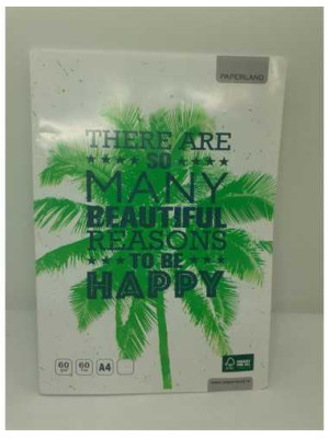 Caiet A4 dictando 60 file model palmier