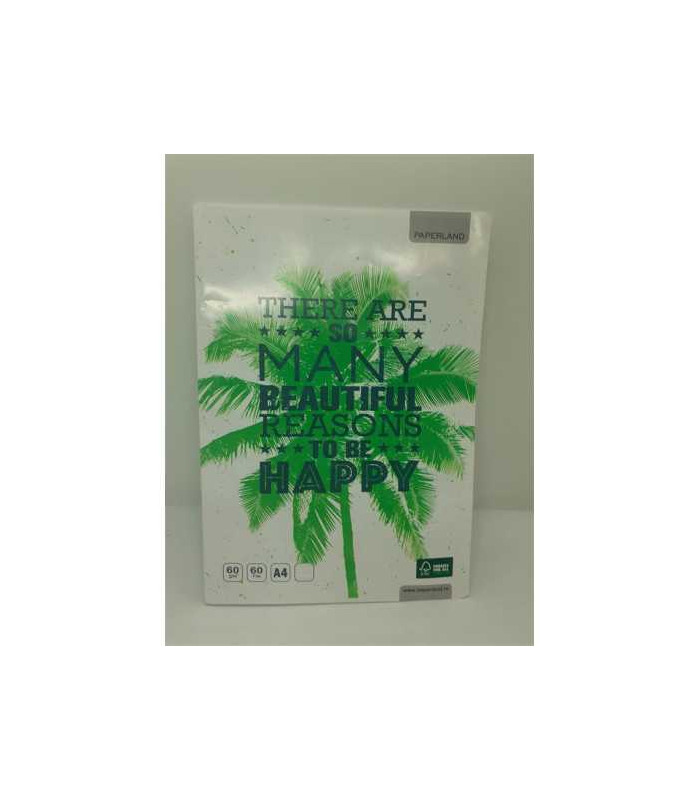 Caiet A4 dictando 60 file model palmier