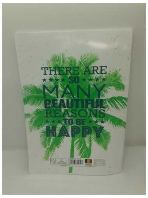 Caiet A4 dictando 60 file model palmier 2