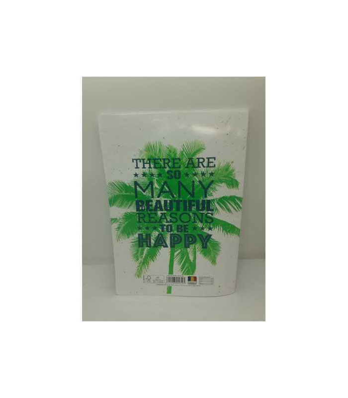 Caiet A4 dictando 60 file model palmier