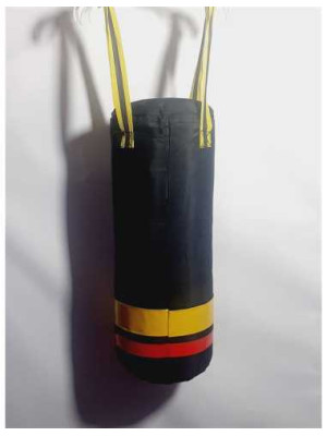 Sac de box pentru copii Kings Sport 2