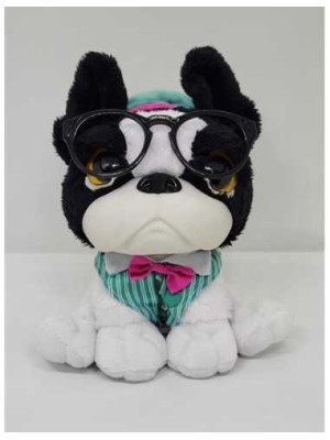 Catelus de plus haios Piccolino