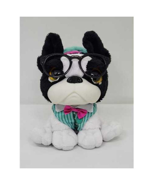 Catelus de plus haios Piccolino