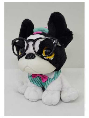 Catelus de plus haios Piccolino 2