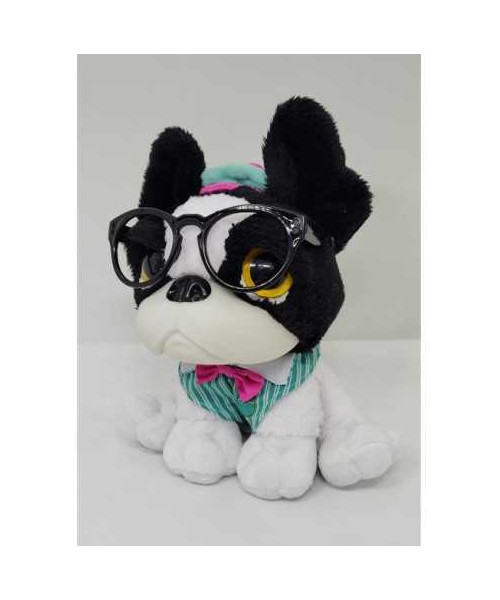 Catelus de plus haios Piccolino