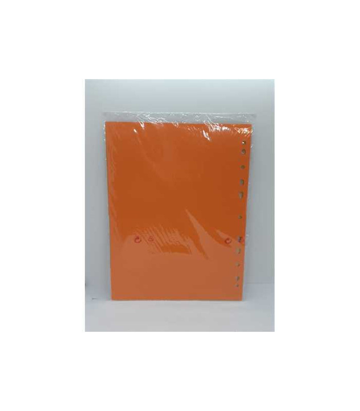 Separatoare carton color reciclat 12 bucati ESSELTE