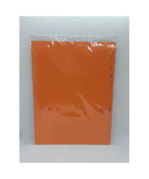 Separatoare carton color reciclat 12 bucati ESSELTE