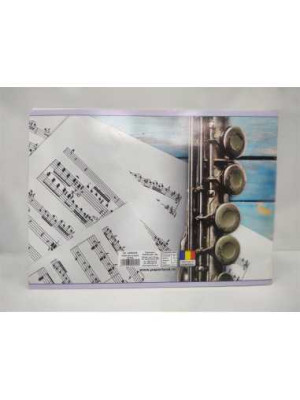 Caiet de muzica 24 file model instrument 2