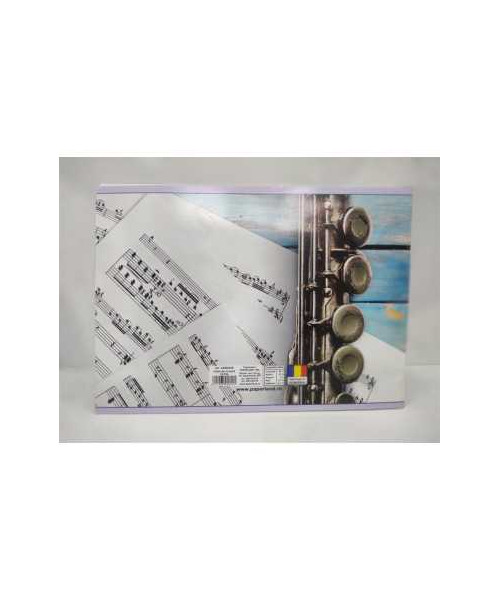 Caiet de muzica 24 file model instrument