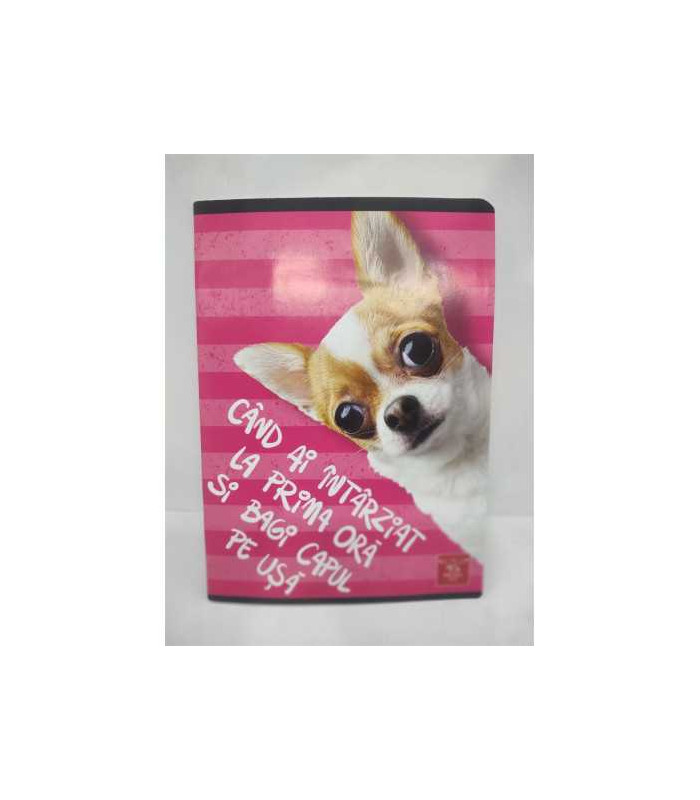 Caiet A5 matematica 48 file model catelus