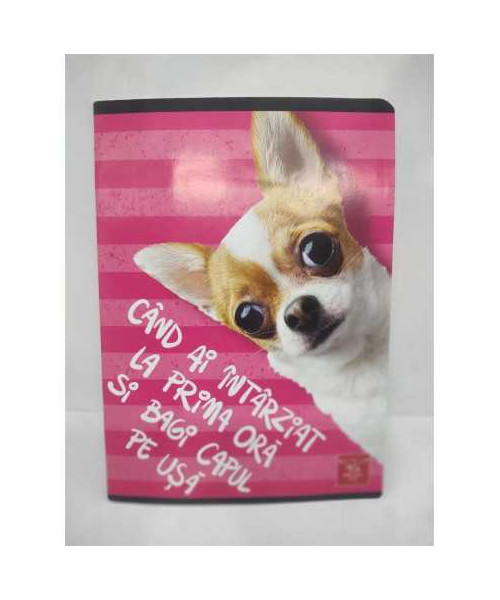 Caiet A5 matematica 48 file model catelus