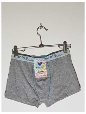 Boxeri pentru baieti model Uni Mr Big Junior