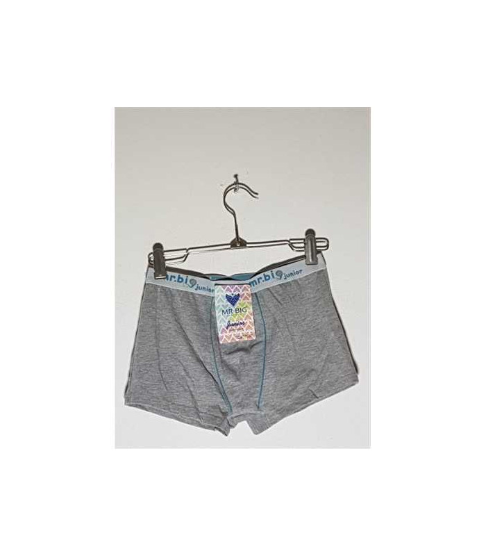 Boxeri pentru baieti model Uni Mr Big Junior