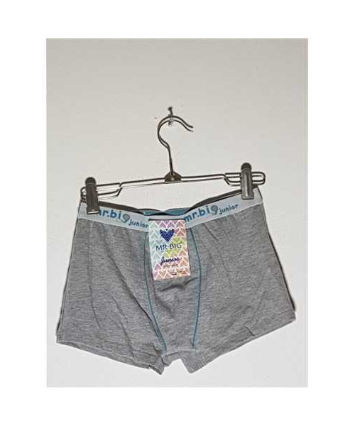 Boxeri pentru baieti model Uni Mr Big Junior