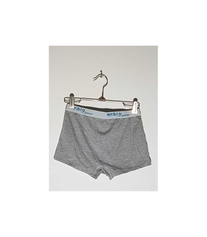 Boxeri pentru baieti model Uni Mr Big Junior