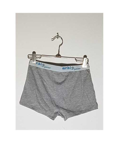 Boxeri pentru baieti model Uni Mr Big Junior