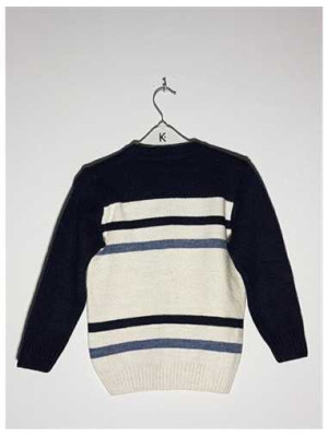 Pulover pentru primavara copii Penguen 2