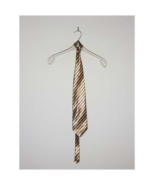 Cravata pentru barbati model cu aspect lucios SHIDAI WANG