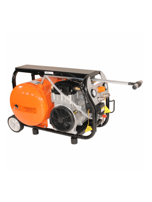 Compresor de aer cu piston BISONTE SC020-015, 8 bar, 15l 2