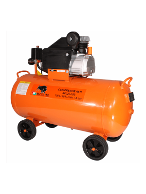 Compresor de aer cu piston BISONTE SF020-100, 8 bar, 100l 2