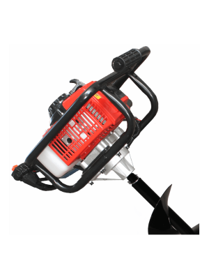 Motoburghiu BISONTE  Garden BTA-30M-ACC2, 3 CP