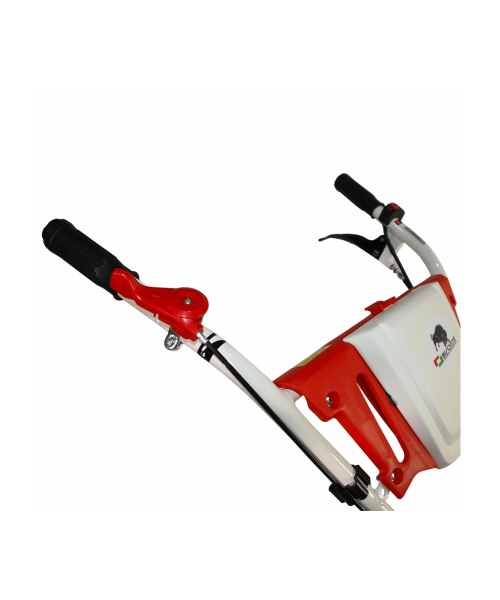 Motocultor BISONTE  Garden BTA-750 latime lucru 560–830mm adancime 300mm motor 7cp fara cover