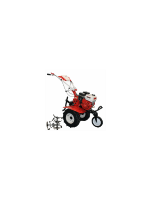 Motocultor BISONTE  Garden BTA-900FC, 7cp (FC)