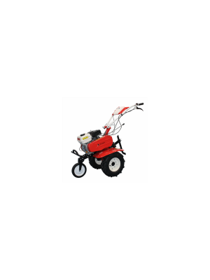 Motocultor BISONTE  Garden BTA-900FC, 7cp (FC) 2