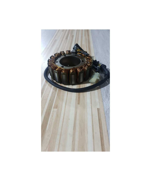 Stator Honda Shadow 1100 C2 SC 43E 2004