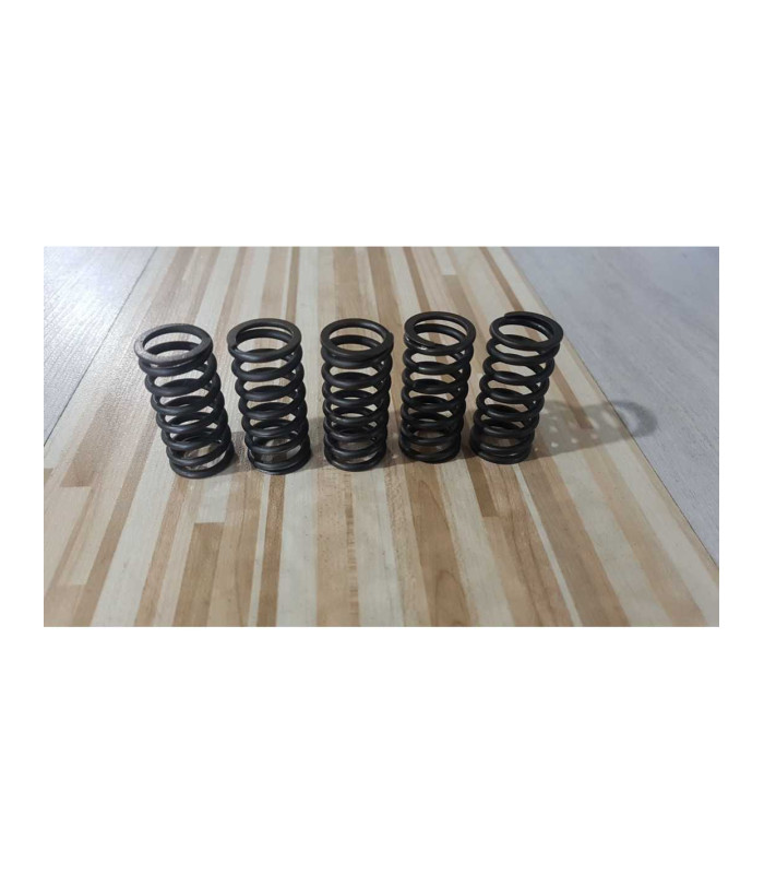 Arcuri Ambreiaj Kawasaki ZR 750S 2001