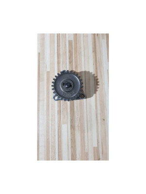 Pompa Ulei Suzuki GS 500F 2006